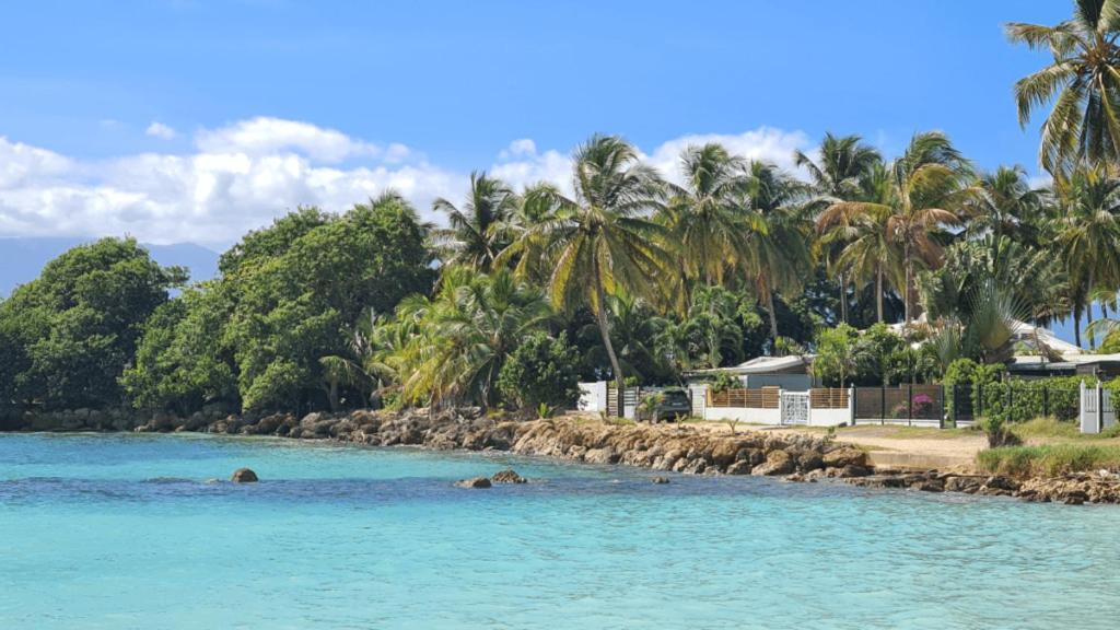 Coeur De Pointe-A-Pitre Appart Terrasse Au Calme エクステリア 写真